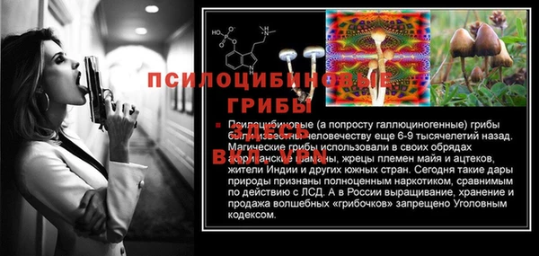 марки lsd Горняк